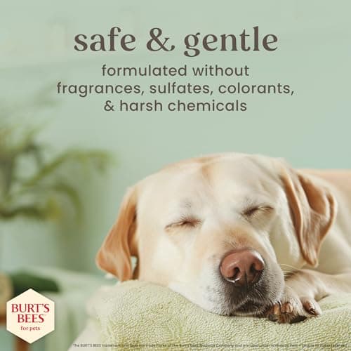 Burt's Bees for Pets Manuka Honey Tearless 2-in-1 Dog Shampoo and Conditioner, with Jojoba Oil, 95% Natural Origin, Free of Sulfates, Milk and Honey Scent, 16 Fl Oz — view 4