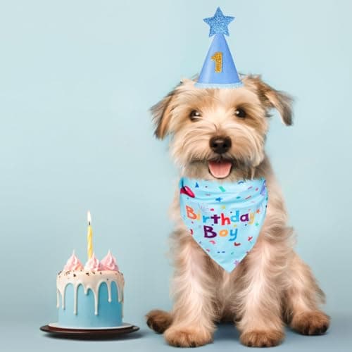Yicostar Dog Birthday Party Supplies, Dog Birthday Bandana Set, Dog Boy Girl Birthday Party Hat with Numbers for Large Medium Small Dogs Pet (Blue) — view 7