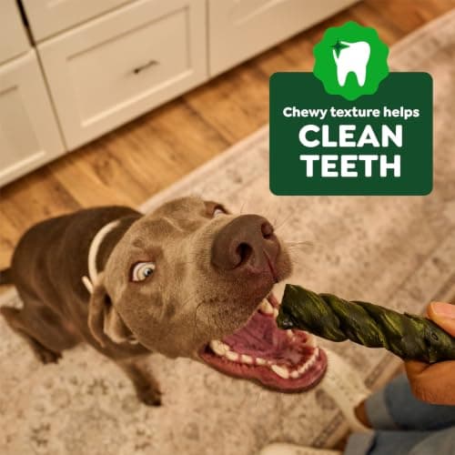 Greenies Occupy Twists Natural Dog Treats Regular Breed Size Chicken Flavor, 8.65 oz. Pack, 6 Count — view 3