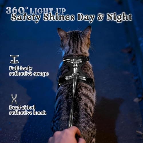 rabbitgoo Cat Harness and Leash, Easy-on with Neck Buckle, Black — view 6