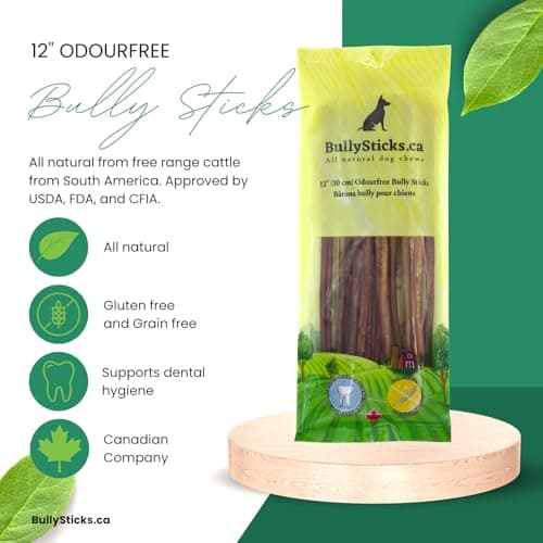 ODOURFREE 12" Standard Bully Sticks for Dogs (10 Pack) Dental Chew - Rawhide Free - Supports Dental Hygiene - Single Beef Ingredient - Consistent Size - Canadian Company