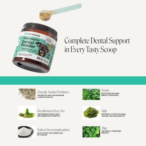 Dog Breath Freshener Dental Powder - Teeth Cleaning Plaque Off + Tartar Remover for Dogs - Care Supplement Food Topper with Kelp, HMP + Postbiotics for Healthy Gums - Mint Flavor (30 Servings) — view 3