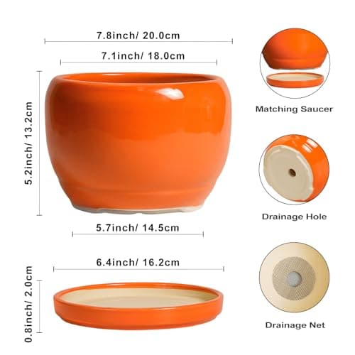 SQOWL Ceramic Pot for Plants - 8 Inch Plant Pot Indoor Outdoor, Modern Round Planter with Drainage Hole and Saucer, Decorative Planter for Flower, Office Decor, Garden Gifts for Women, Orange — view 2
