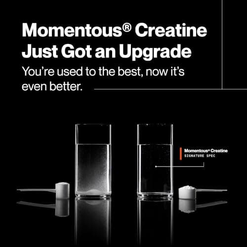 Momentous Creatine Monohydrate Powder - Creatine Powder - Supports Strength, Lean Muscle, & Recovery for Men & Women - NSF Certified for Sport - 5 g per Serving - 90 Servings — view 9