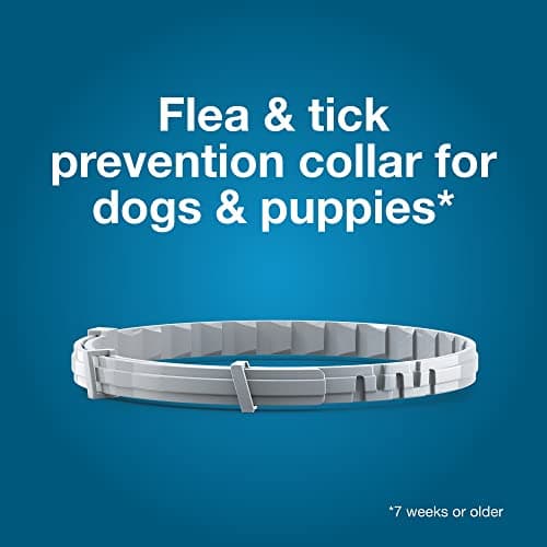 Seresto Flea & Tick Collar For Dogs Over 18 lbs., Treatment & Prevention, Vet-Recommend, 8 Month Protection — view 3