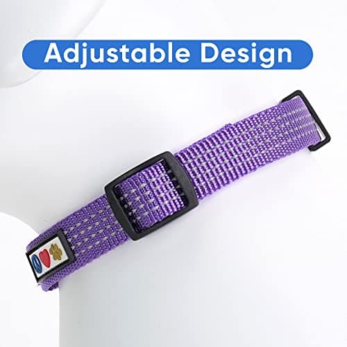 Pawtitas Small Reflective Adjustable Puppy Collar - Purple, Matching Leash and Harness Available — view 3