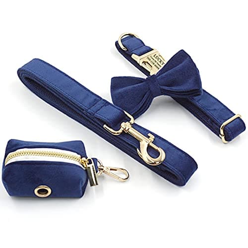 PETDURO Custom Dog Collar Personalized with Name Engraved Gold Metal Buckle for Large Medium Small Boy and Girl Dogs - Dog Leash and Bow Tie Set Available - Soft Comfy Velvet (Dark Blue, S) — view 6