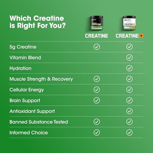 Optimum Nutrition Creatine, Micronized Creatine Monohydrate Capsules, Supports Strength & Recovery, Banned Substance Tested, 2.5g per Serving, 100 Servings, 200 Count — view 3