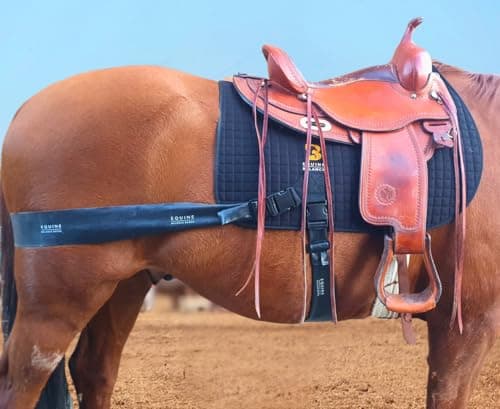Equine Balance Band System (Western)