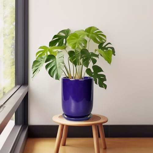 SUNPOTFOR Ceramic Plant Pot - 8 Inch Planter for Indoor Plants Outdoor Flower Pot with Drainage Hole and Saucer Home Patio Office Decor Blue — view 4