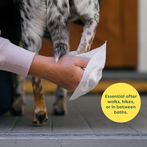 Earth Rated (A Canadian Company) Pet Wipes for Dogs and Cats, Hypoallergenic, Cleaning and Hydrating, for Grooming Paws, Body and Butt, Unscented, 100 Count — view 2