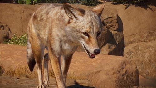 Planet Zoo: America's Animal Pack Standard - PC Steam [Online Game Code]