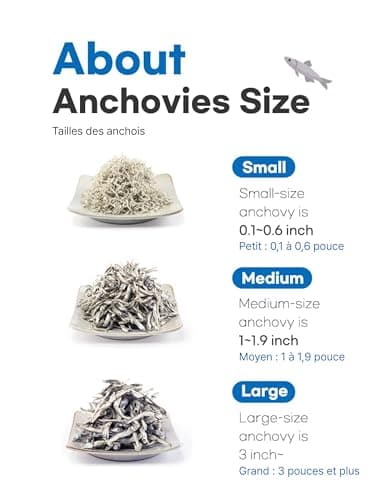 Fisher Queen Korean Dried Anchovy for Stir-fry Rich In Calcium 小鳀鱼 지리멸치 8oz(227g) Small Size Deep And Rich Flavor — view 3