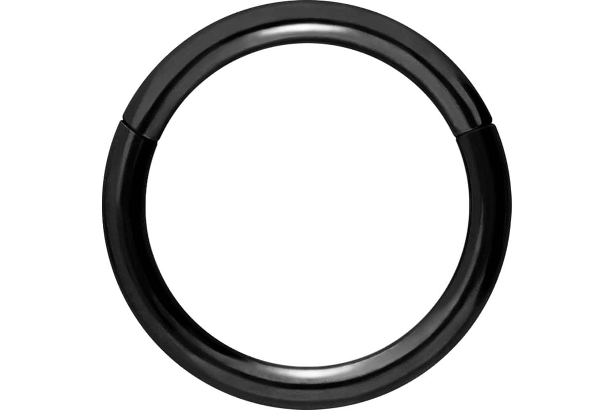 PIERCINGLINE Anillo segmento Clicker de acero quirúrgico – Piercing en oro, plata, rosa, negro o azul – para nariz, tabique, oreja, hélice o tragus — view 31