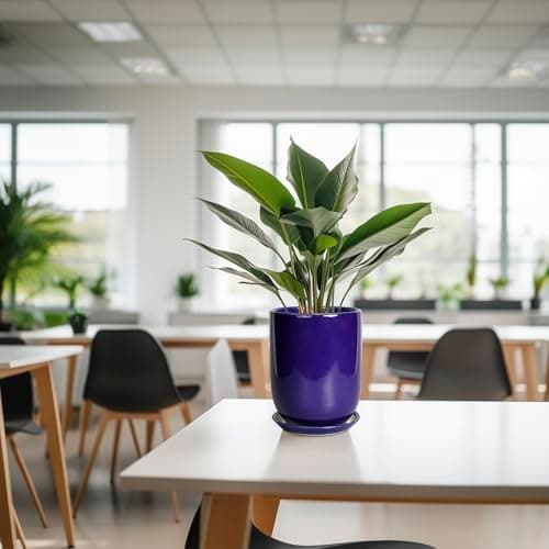 SUNPOTFOR Ceramic Plant Pot - 8 Inch Planter for Indoor Plants Outdoor Flower Pot with Drainage Hole and Saucer Home Patio Office Decor Blue — view 5