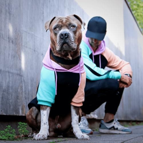 Spark Paws Dog Hoodie – Premium Dog Sweater for Small, Medium, and Large Dogs | Warm Outfits for French Bulldogs, Pitbull, Puppy, Winter Jacket Alternative - Cyber Punk - L — view 4