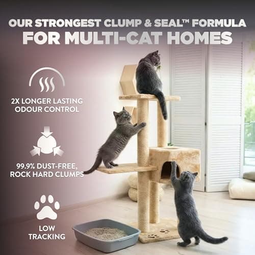 ARM & HAMMER Platinum Cat Litter Clump & Seal Complete Odour Sealing with 14 Days of Odour Control Multi-Cat, Hard Clumping Clay, 99.99% Dust Free 8.16kg (Pack of 1) — view 2