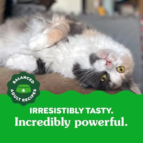 GREENIES Feline Cat Treats Natural Dental Care, Catnip Flavour, 9.75oz. Tub