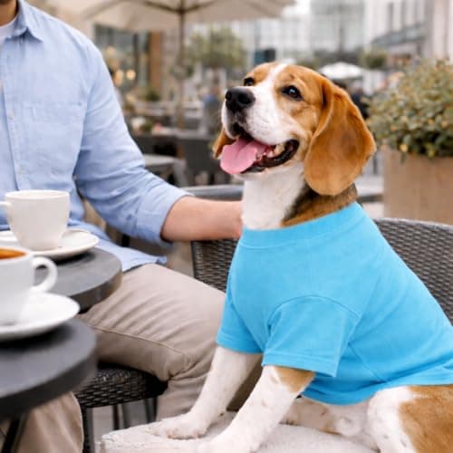 Lovelonglong Pet Clothing Dog Costumes Basic Blank T-Shirt Tee Shirts for Medium Dogs Turquoise XXL — view 7