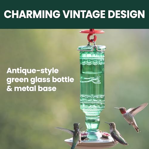 Perky-Pet Glass Bottle Hummingbird Feeder - Outdoor Garden Décor Humming bird Feeder, 8108-1SR - 10 Fl Oz Nectar Capacity - Durable Green Antique Design - Hang from Tree, Porch, Deck, Hook — view 3