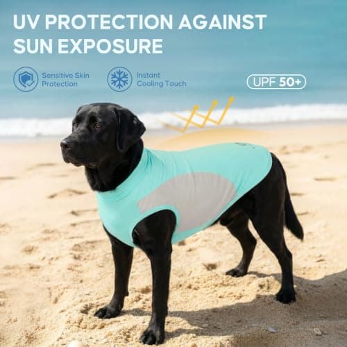 KYEESE 2Pack Dog Cooling Shirt with UPF 50+ UV Protection, Blue, 2XL — view 3