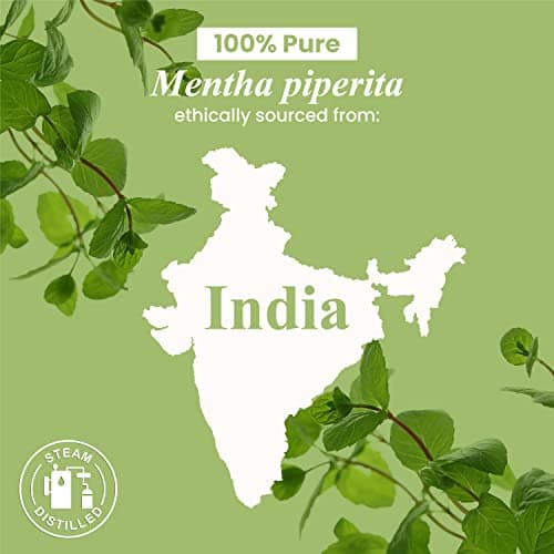 Handcraft Blends Peppermint Essential Oil – Huge 4 Fl Oz – 100% Pure and Natural – Premium Grade Essential Oil for Diffuser and Aromatherapy, Skin, Massage, Candle and Soap Making Fragrance — view 7