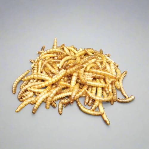 maplepaw LAB, Dried Mealworm Topper 100% RAW Superfood — view 3