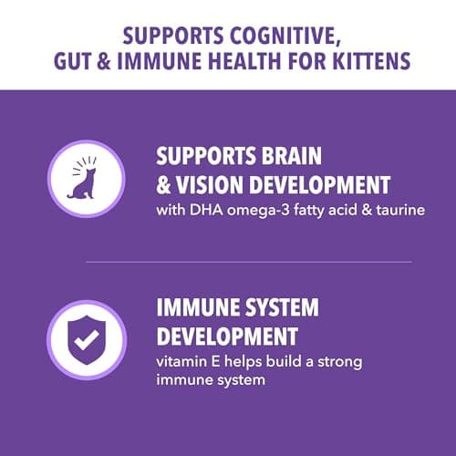 IAMS Proactive Health Kitten Dry Cat Food, Healthy Kitten Food Dry Recipe with Real Chicken in Every Bite, 3.5 Lb. Bag — view 2