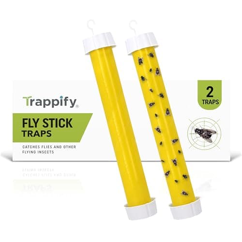 Trappify Hanging Fly Traps Outdoor: Fruit Fly Traps for Indoors | Fly Catcher, Gnat, Mosquito, & Flying Insect Catchers for Inside Home - Disposable Sticky Fly Trap for Indoor House Pest Control (2) — view 8