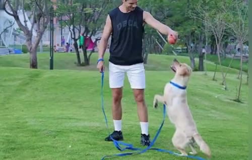 AMAGOOD Long Dog Leash for Training 15FT 20FT 30FT 50FT 100FT Long Dog Lead for Medium and Small Dogs Training,Tie Out,Play,Camping(15feet, Blue) — view 4