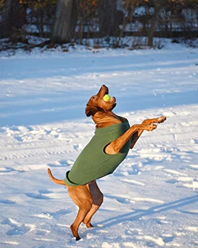 Gooby Stretch Fleece Vest - Pumpkin, 5X-Large — view 5