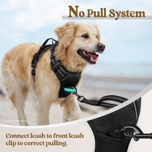rabbitgoo Dog Harness, No-Pull Pet Harness with 2 Leash Clips, Adjustable Soft Padded Vest, Reflective No-Choke Pet Oxford Vest with Easy Control Handle for Large Dogs, Black, L — view 5