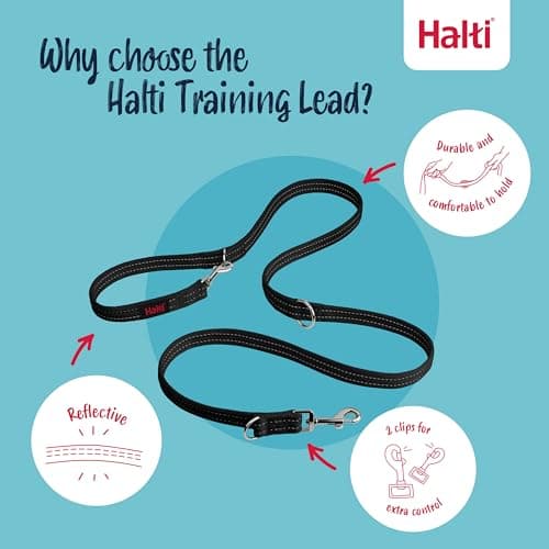 Halti Training Leash - Multifunctional Double-Ended Dog Leash, Ideal for Anti-Pulling Dog Training. Lightweight, Soft & Durable. Suitable for Medium to Large Dogs & Puppies (Size Large, Black, 2m) — view 2