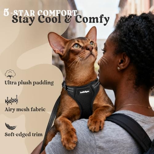 rabbitgoo Cat Harness and Leash, Easy-on with Neck Buckle, Black — view 5