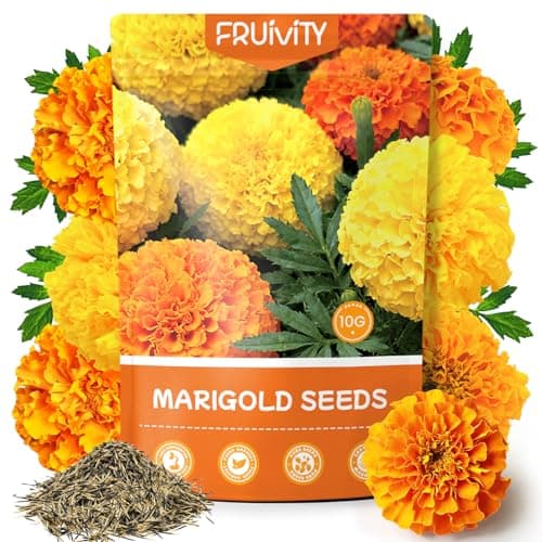 Fruivity Petite Heirloom French Marigold Seeds for Planting, 400+ Flower Seeds Perennial Seed Packet,Home and Garden Easy to Grow, Indoor & Outdoor Gardening, Companion Plant & Quick Blooming