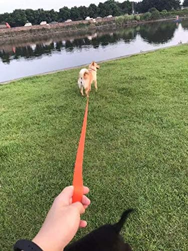 AMAGOOD Long Dog Leash for Training 15FT 20FT 30FT 50FT 100FT Long Dog Lead for Medium and Small Dogs Training,Tie Out,Play,Camping(15feet, Blue) — view 8