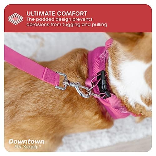 Downtown Pet Supply Step in Dog Harness for Small Dogs No Pull, Medium, Pink - Adjustable Harness with Padded Mesh Fabric and Reflective Trim - Buckle Strap Harness for Dogs — view 6