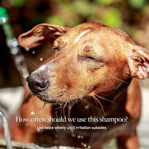 Veterinary Formula Clinical Care Antiseptic & Antifungal Shampoo, 16 oz — view 4