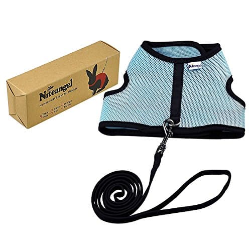 Niteangel Adjustable Soft Harness with Elastic Leash for Rabbits (XL, Blue) — view 6