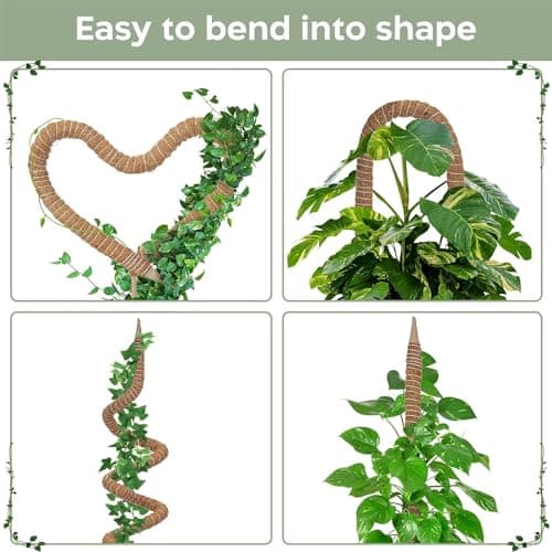 2 Pack 63'' Bendable Moss Pole Monstera Plant Support for Large Climbing Indoor Plants - Stakes for Potted Climbers - Tall Sticks Indoor Trellis for Houseplants - Accessories for Monstera Pot — view 2