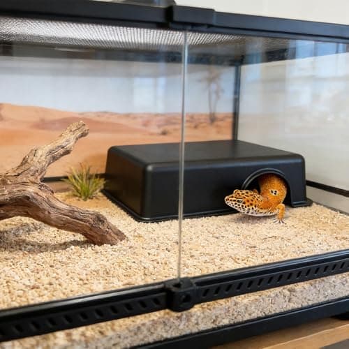 Reptile Hide Box, Animal Hideout, Plastic Hide cave for Leopard Geckos, Small Snakes, Juvenile Ball Pythons, Lizards, hognose Snakes, cornsnakes (Black, Large) — view 4