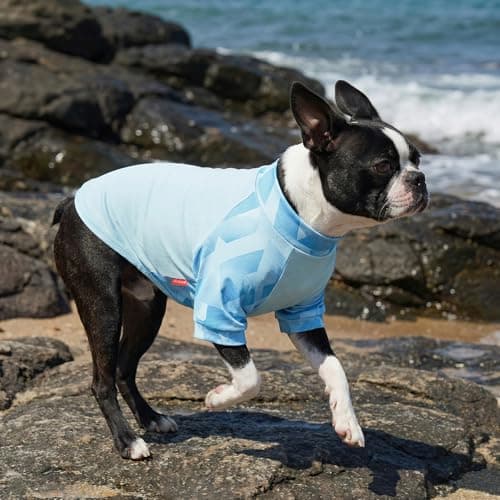 KYEESE 2Pack UV Protection Dog Shirt, UPF 50+ Cooling Dog T Shirts for Small Dogs Boy, Breathable Reflective Dogs Sun Shirts with Sleeves Summer Pet Clothes, Blue, M — view 2