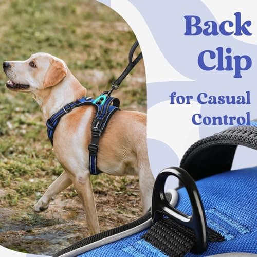 rabbitgoo Dog Harnesses for Large Dogs, No Pull Pet Harness with 3 Buckles, Adjustable Soft Padded Vest with Instant Control Handle, Easy Walking Reflective Pet Vest, Blue, L — view 5