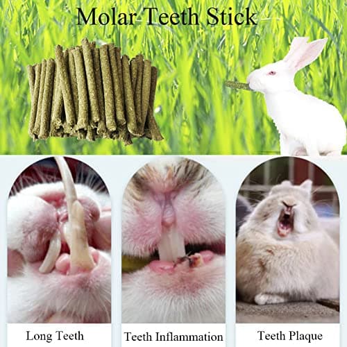 LISSION Timothy Hay Sticks, 100 PCS Molar Sticks, Natural Timothy Grass Chew Toys, for Rabbit, Hamster, Bunny, Guinea Pig, Chinchilla, Small Animal Molar Snacks — view 2