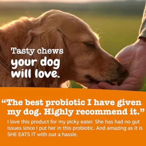 Zesty Paws Probiotics for Dogs, Digestive Enzymes Gut Flora, Digestive Health, Diarrhea & Bowel Support, DE111, Dog Probiotics Soft Chew for Pet Immune System, Chicken, 50 Ct — view 5