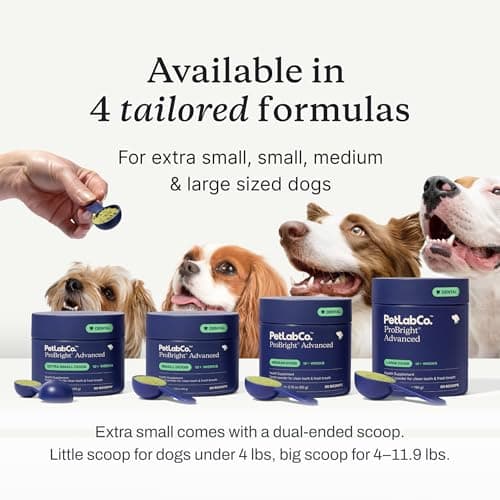 PetLab Co. ProBright Advanced Dental Powder - Dog Breath Freshener - Teeth Cleaning Made Easy – Targets Tartar & Bad Breath - Packaging May Vary - Formulated for Extra Small Dogs — view 5