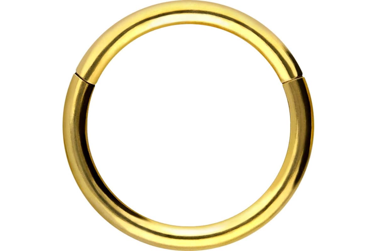 PIERCINGLINE Anillo segmento Clicker de acero quirúrgico – Piercing en oro, plata, rosa, negro o azul – para nariz, tabique, oreja, hélice o tragus — view 46