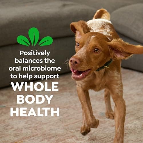 Greenies Veterinarian-Recommended Adult Natural Dental Dog Treats Petite Size, Dog Dental Chews, Original Flavor, 3 oz. Pack, 5 Count — view 8