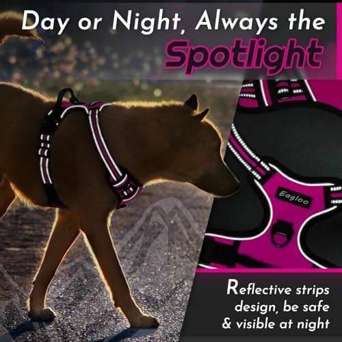 Eagloo Dog Harness No Pull, Walking Pet Harness with 2 Metal Rings and Handle, Adjustable Reflective Breathable Oxford Soft Easy Control Vest for Small Medium Large Dogs, Rose Red, L — view 7