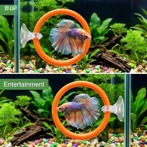 Betta Fish Toys & Accessories Set, Includes Floating Mirror with Ball, 2 Training Rings & Suction Cups for Betta Fish Aquariums (Orange) — view 4